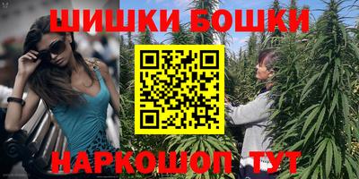 шишки Можайск