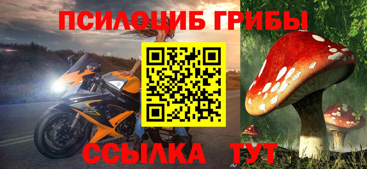 Псилоцибиновые грибы прущие грибы Верхний Уфалей