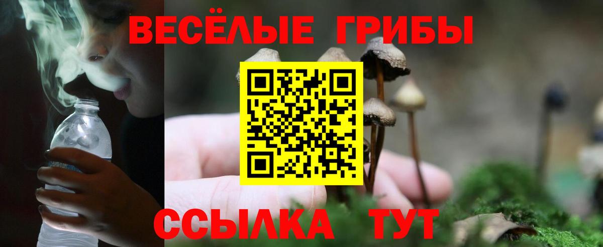 Галлюциногенные грибы мицелий  Вход с VPN  Верхний Уфалей 